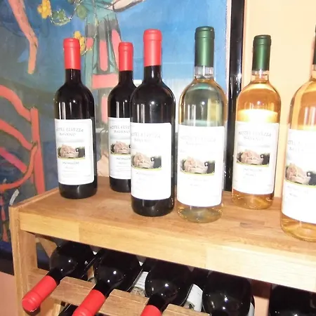 Elvezia 2* Lake Maggiore