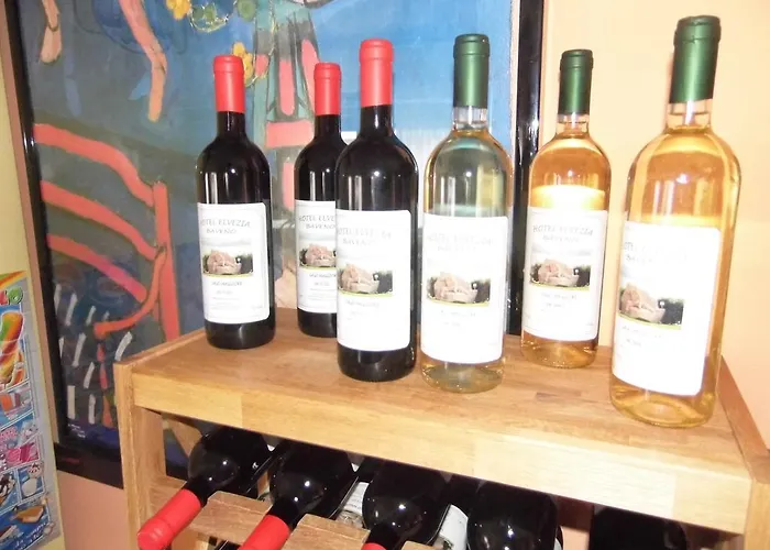 Elvezia 2* Lake Maggiore