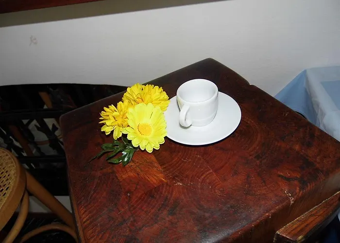 Otel Elvezia Lake Maggiore