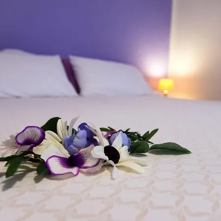 Elvezia Hotell 2*